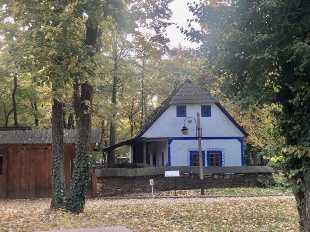 Zdobiony na niebiesko murowany dom.